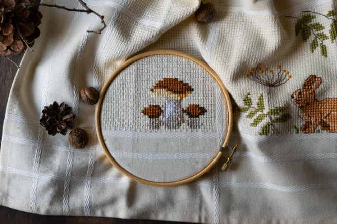 What Is Cross-Stitch?
